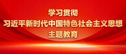 被艹软件学习贯彻习近平新时代中国特色社会主义思想主题教育_fororder_ad-371X160(2)